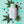 Design.ME - Gloss.ME Hydrating Conditioner