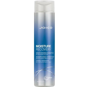 Joico Moisture Recovery Moisturizing Shampoo - Totally Refreshed Steam and Spa